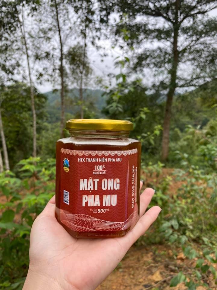 Mật ong Pha Mu – sản phẩm OCOP của tỉnh Lai Châu