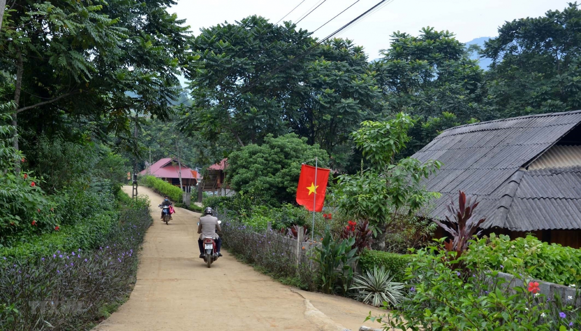 Thanh Hóa: Xây dựng đề án phát triển các mô hình phát huy lợi thế khu vực miền núi