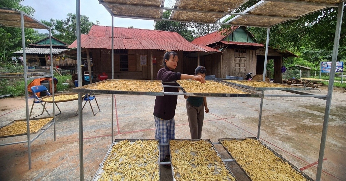 Măng khô Cà Roòng – sản phẩm OCOP của đồng bào dân tộc Ma Coong