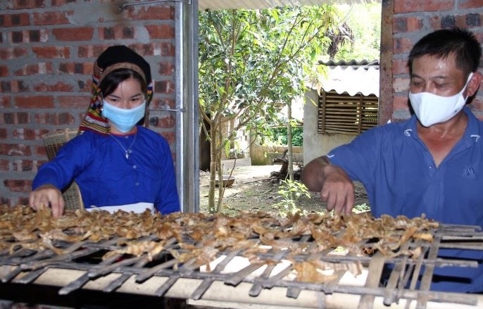 Măng khô Thanh Lâm - sản phẩm đặc trưng của đồng bào dân tộc xứ Thanh