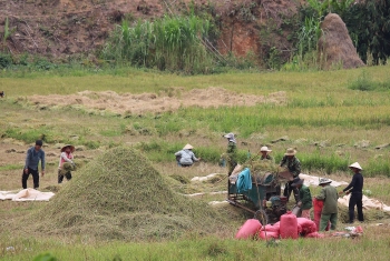 Kon Tum: Thực hiện bình đẳng giới đối với phụ nữ và trẻ em