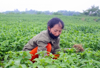 Nghệ An: Tuyên truyền, phổ biến pháp luật, chính sách dân tộc cho đồng bào dân tộc