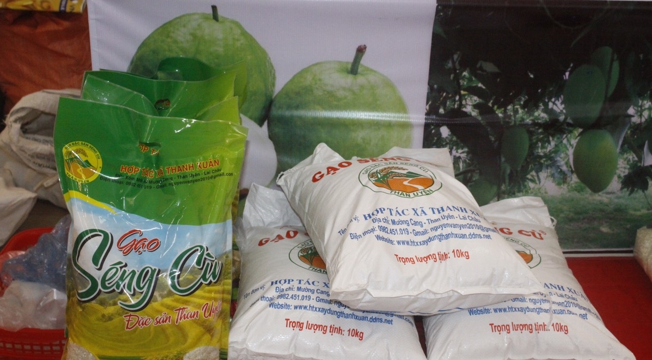 Than Uyên - Lai Châu: Phát triển thương hiệu gạo Séng Cù