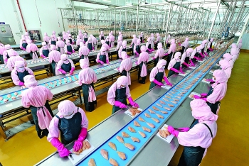 cp vietnam launches kitchen of the world chicken exports
