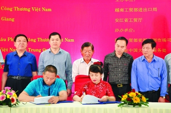 china opens doors to vietnamese rice
