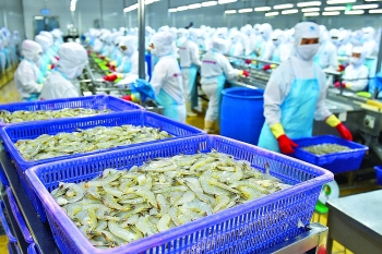 chinas growing hunger for vietnamese seafood