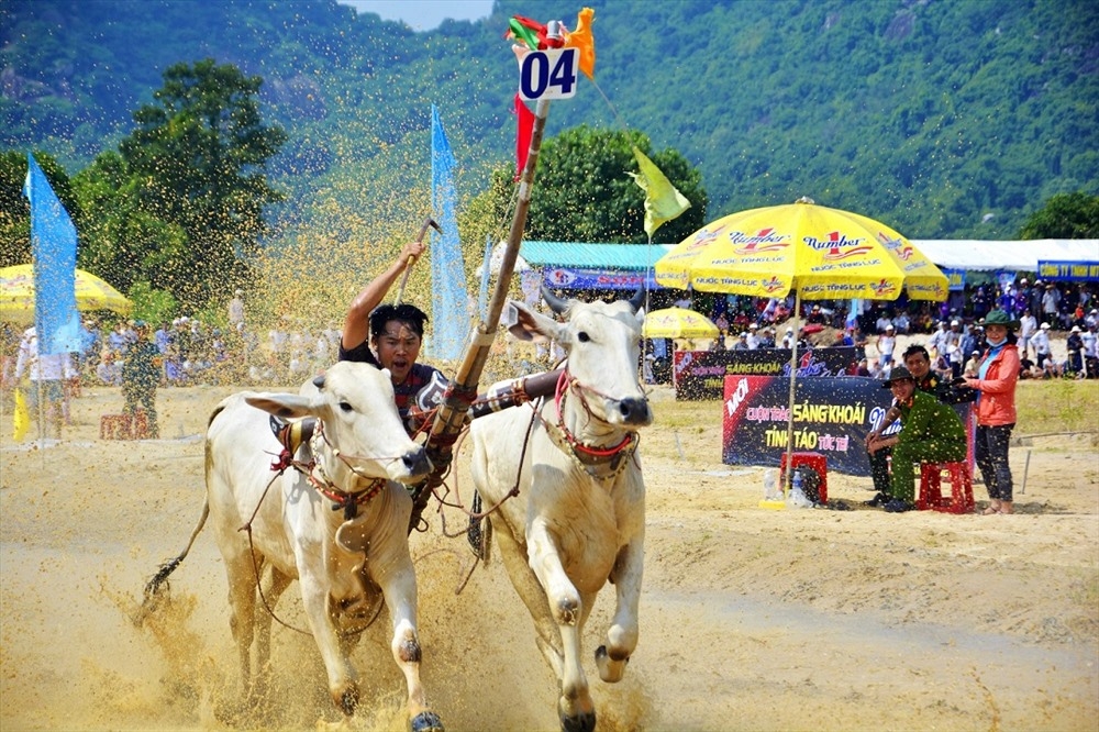 tung bung le hoi dua bo bay nui cung number 1 cola