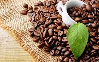 Australia giảm nhập khẩu cà phê từ Việt Nam