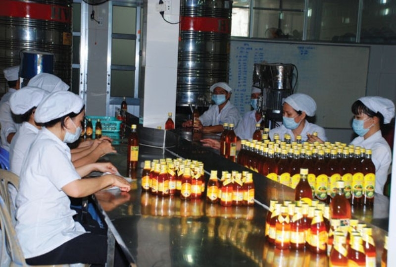 Nhiều cơ hội cho mật ong Việt Nam xuất khẩu sang EU