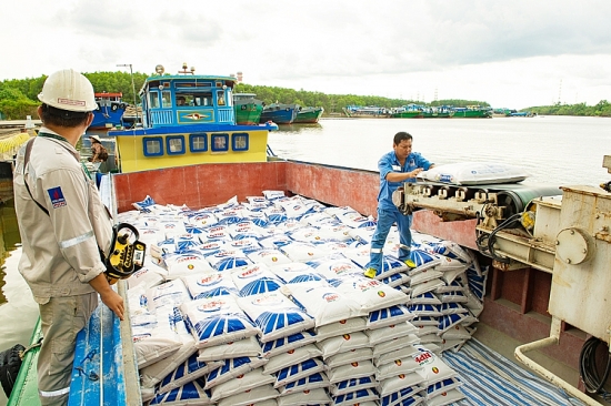 Lợi thế từ thị trường, Phân bón Cà Mau vượt chỉ tiêu kế hoạch quý I