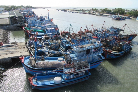 Thủy sản Việt Nam tổn thất khoảng 480 triệu USD mỗi năm nếu bị “thẻ đỏ”