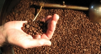 UKVFTA giúp cà phê Việt tăng thị phần tại Anh