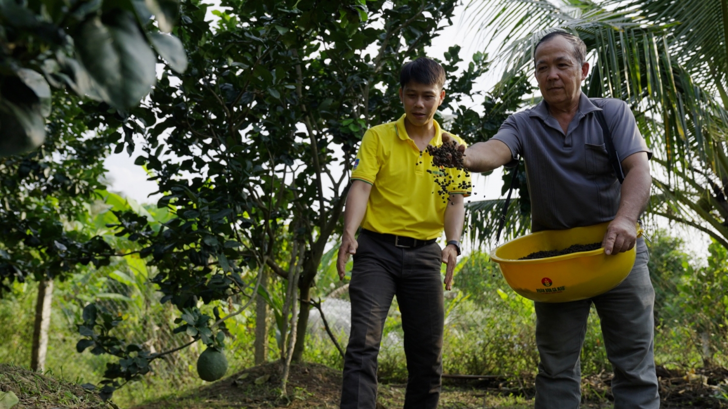 CBCNV PVCFC nâng cao năng lực chuyên môn, cùng bà con phát triển bền vững