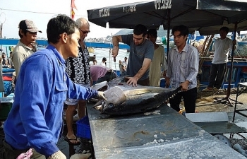 Thị trường Nhật Bản ưa chuộng cá ngừ Việt Nam