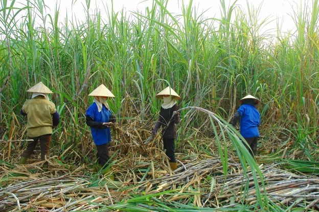 Phòng vệ thương mại với hàng nhập khẩu: Không để “nước đến chân mới nhảy”