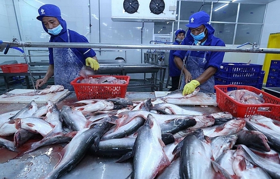 Kim ngạch xuất khẩu cá tra trong năm tháng giảm 39%