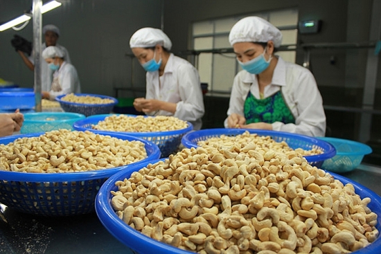 Việt Nam là thị trường xuất khẩu hạt điều lớn nhất của Campuchia