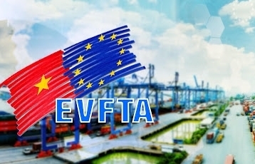 Thành lập nhóm tư vấn trong nước theo quy định trong Hiệp định EVFTA