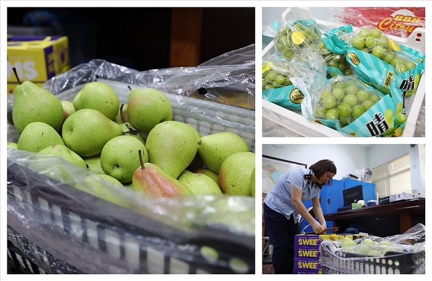 Cục QLTT Hà Nội cũng đã ra quân chấn chỉnh và xử lý nghiêm các tổ chức, cá nhân kinh doanh trái cây không rõ nguồn gốc xuất xứ, không bảo đảm an toàn thực phẩm, không bảo đảm chất lượng lưu thông trên thị trường