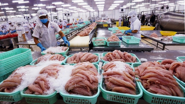 Giá hải sản thế giới tăng mạnh, xuất khẩu của Việt Nam có hưởng lợi?
