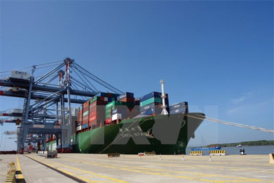 Phát triển cụm cảng quốc tế Cái Mép-Thị Vải lên tầm quốc tế