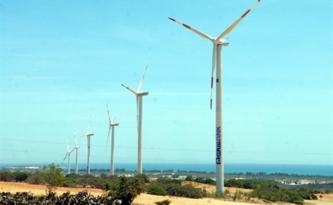 Vận hành dự án điện gió có vốn đầu tư 1.100 tỷ đồng tại Bình Thuận