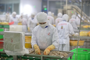 Peru thị trường xuất khẩu tiềm năng của hàng hóa Việt Nam