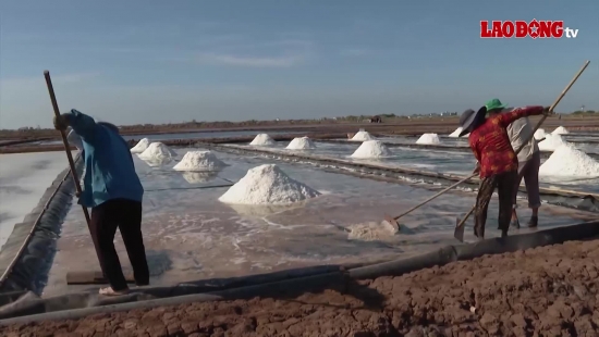 Diêm dân Bạc Liêu khát vốn để đầu tư sản xuất muối trải bạt
