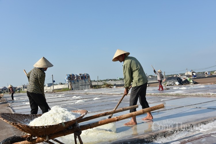 Việt Nam nhập khẩu hàng tỷ USD tiền muối mỗi năm